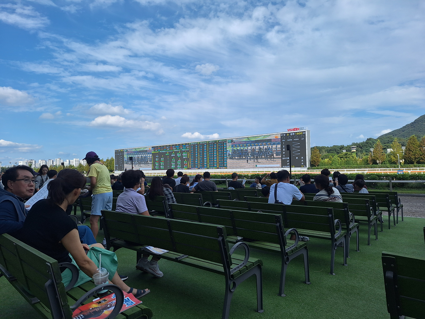 View of the Horse track and screen from the bench seating