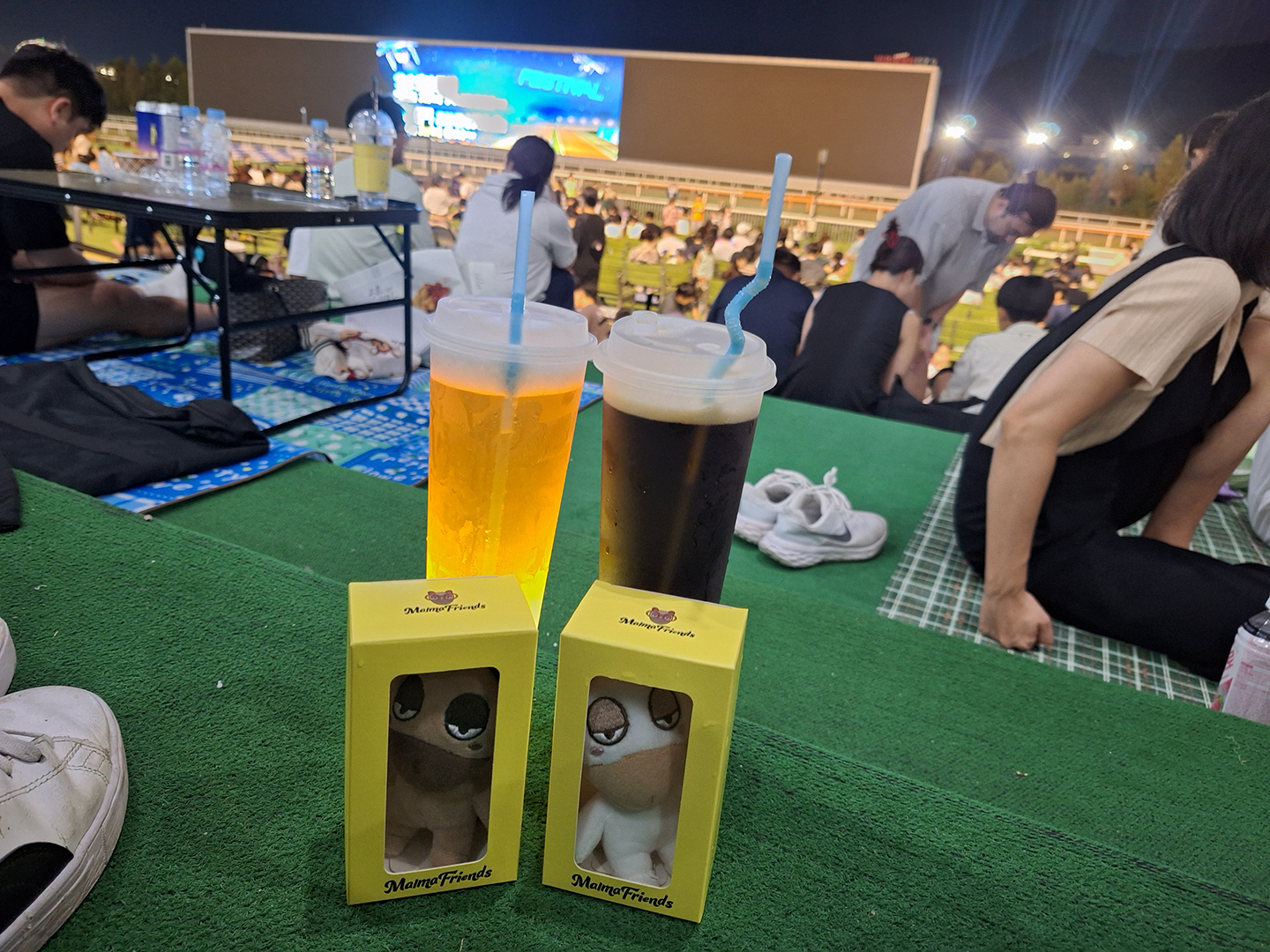 Malma souvenirs and 2 beers sat in the stands in front of the large screen prepared to watch the shows